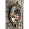 Antique 19th Century Gilt Decorative Mirror