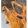 Fantastic Naturalistic Hardwood Bench