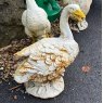 Painted Cast Iron Duck Statue