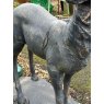 Bronzed & Painted Cast Iron Stag Statue