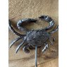 Rustic Crab Coat Hook