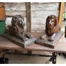 Beautiful Victorian Salt Glazed Stoneware Pair Of Lions