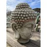 Buddha Head Medium