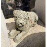 Playful Pug