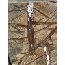 Rain Forest Brown Marble Worktops (1.2m x 0.64m)