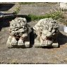 Lion Pair (Laying Down)