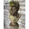 Fine Reclaimed Bust On Plinth Of Hercules