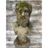 Fine Reclaimed Bust On Plinth Of Hercules