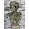 Fine Reclaimed Bust On Plinth Of Athena