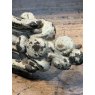Antique Victorian Door Knocker