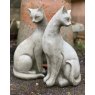 Wells Reclamation Siamese Cats