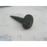 Wells Reclamation Rose Head Door Nail 1.5'