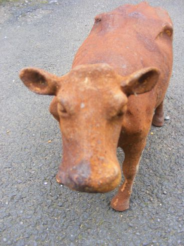 Cast iron cow