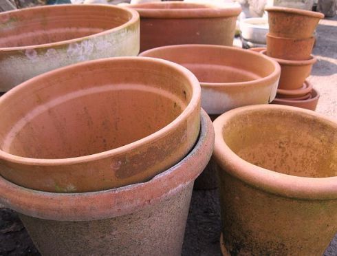 Terracotta pots